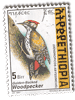 Ethiopia Stamp showing Golden Backed Woodpecker