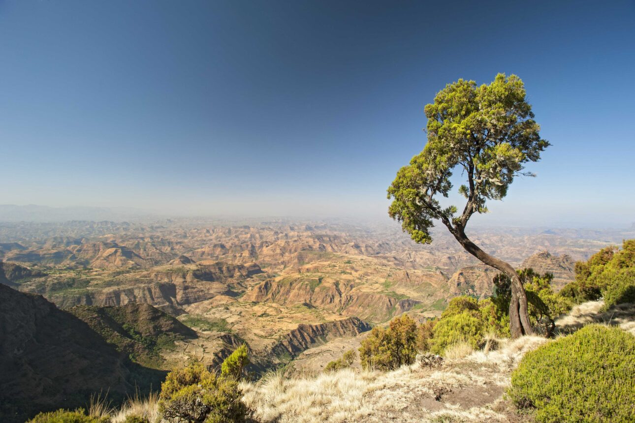 The Responsible Traveler in Ethiopia