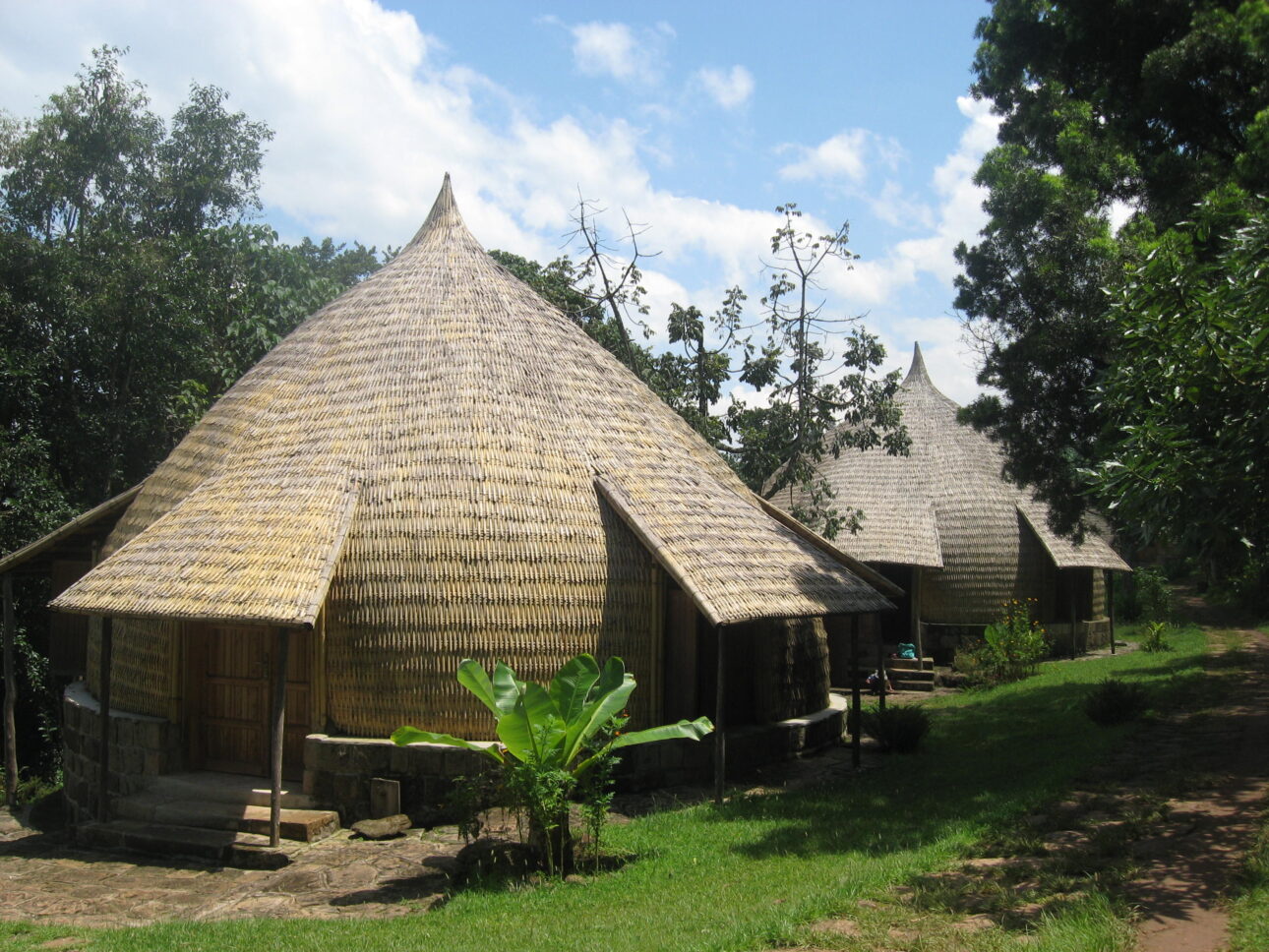 Ethiopian trip to Yirgalem, Aregash Lodge