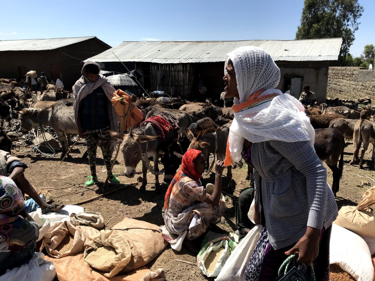 Journey through Ethiopia – Part 10