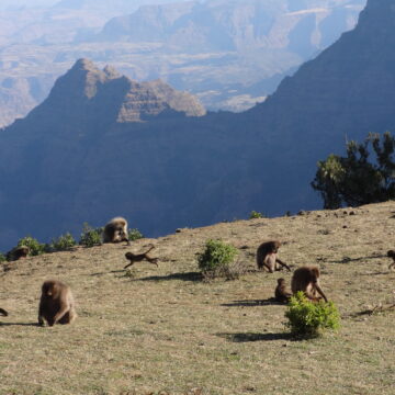 Unique Ethiopian vacations